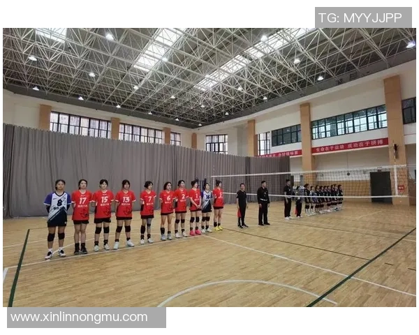 重庆排球队荣登全国排球比赛经验排行榜首位的背后故事与成就分析