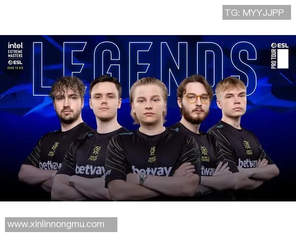 CSGO战术解析：深入探讨WE战队的阵地战策略与执行技巧