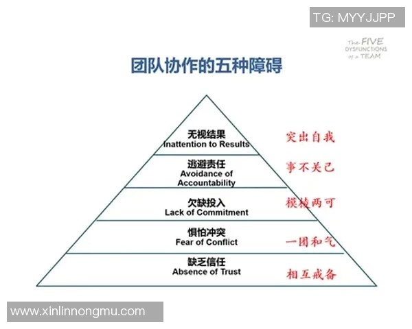 TES战术引发热议争议背后的团队协作与策略分析