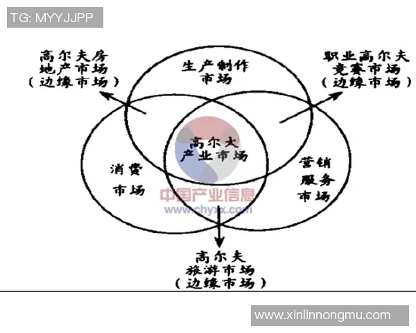 南京乒乓球队中路突破的成功与失败分析及未来发展方向探讨