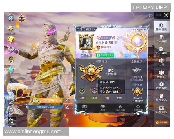 和平精英巨献：深入解析BLG战队的耐力与团队协作之道