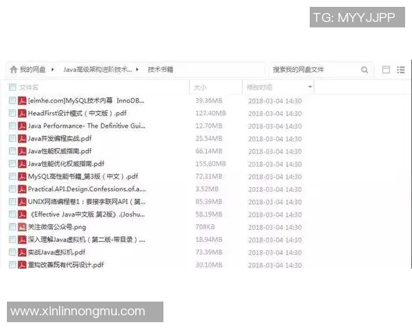 杨秀英分享攀岩心路历程与成长故事的专访回顾