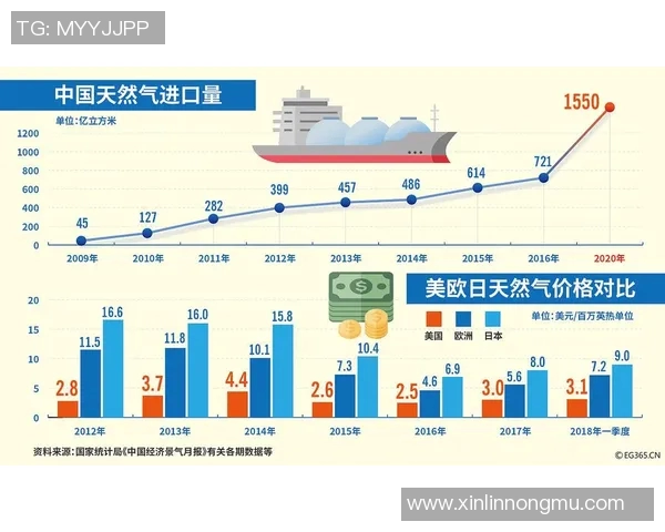 数据分析揭示LNG在全球能源转型中的关键作用与未来发展潜力