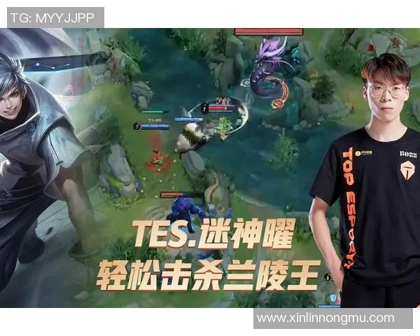 王者荣耀战术解析：TES阵地战的秘密与策略深度剖析