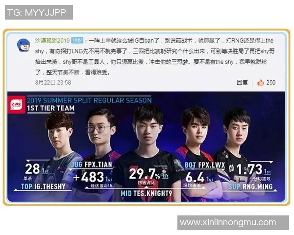 聚焦英雄联盟IG战队的默契配合与战术解析探讨