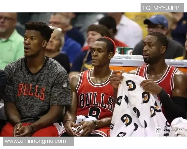 重庆乒乓球队逆袭之路揭秘大满贯背后的奋斗与荣耀