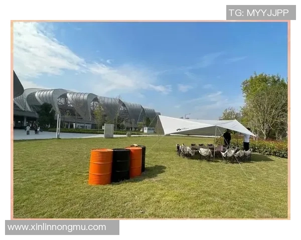 飞盘新手必看：灵活性训练与技巧全面入门指南