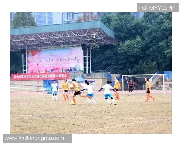 杭州足球队选拔赛表现分析团队配合与战术执行的关键因素探讨