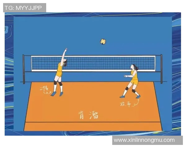 深入分析深圳飞盘队快攻战术的特点与应用策略