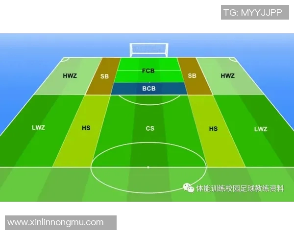 武汉足球队战术解析与对比深度剖析球队风格与战术布局