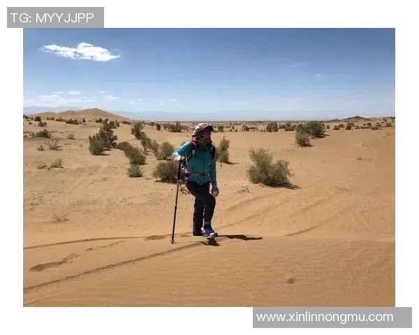 深度探讨周娜在DOTA2世界中的成长与挑战之旅