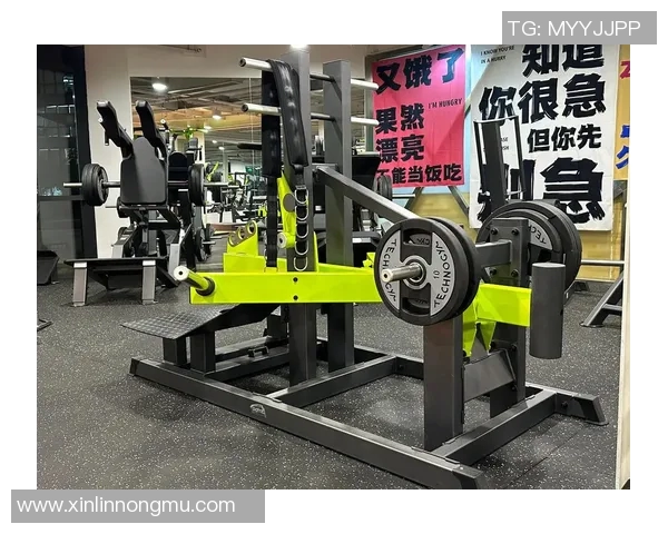 消耗卡路里健身器材排行榜健身目标更清晰