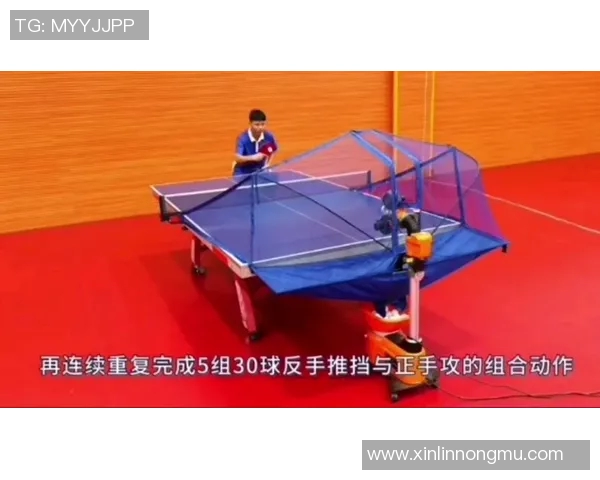 深圳乒乓球队区域防守策略分析与成败得失探讨