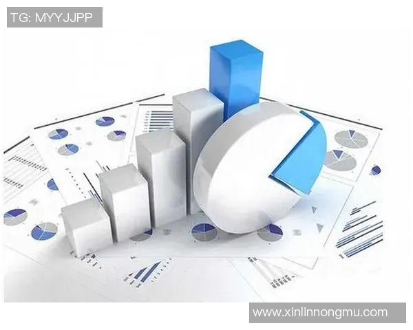 上海篮球队运营分析：成功经验与不足之处的深度剖析