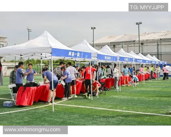 上海飞盘队在极限运动会中的战术运用与表现分析