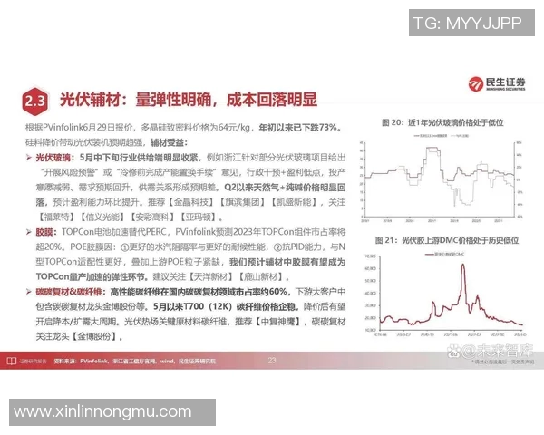 西安排球队防守策略深度解析与热点分析