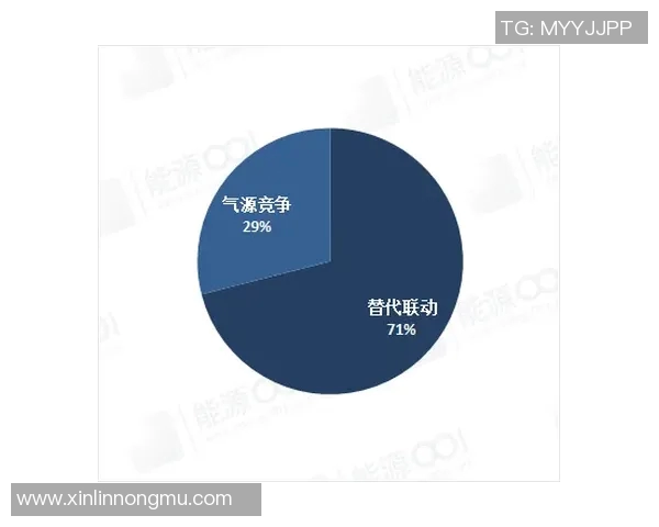 重磅专题：探索LNG领域的防守创新与未来发展趋势