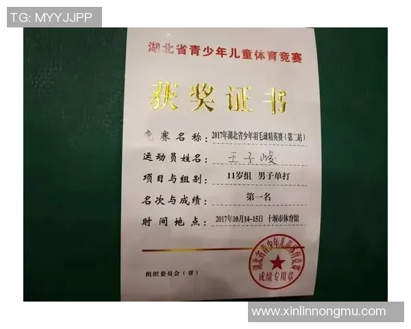 重庆羽毛球队实力强劲荣登全国羽毛球力量排行榜第10名