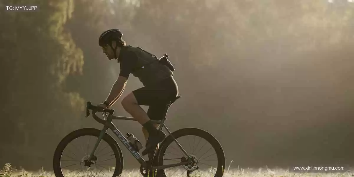 指尖掌控，赛事全收！📱