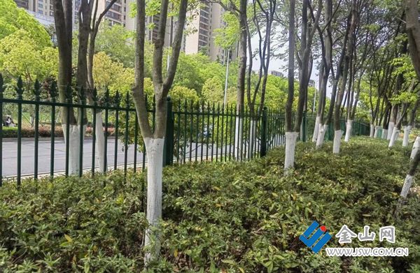 乐鱼·体育增设宁静护栏“小”办法 保证市